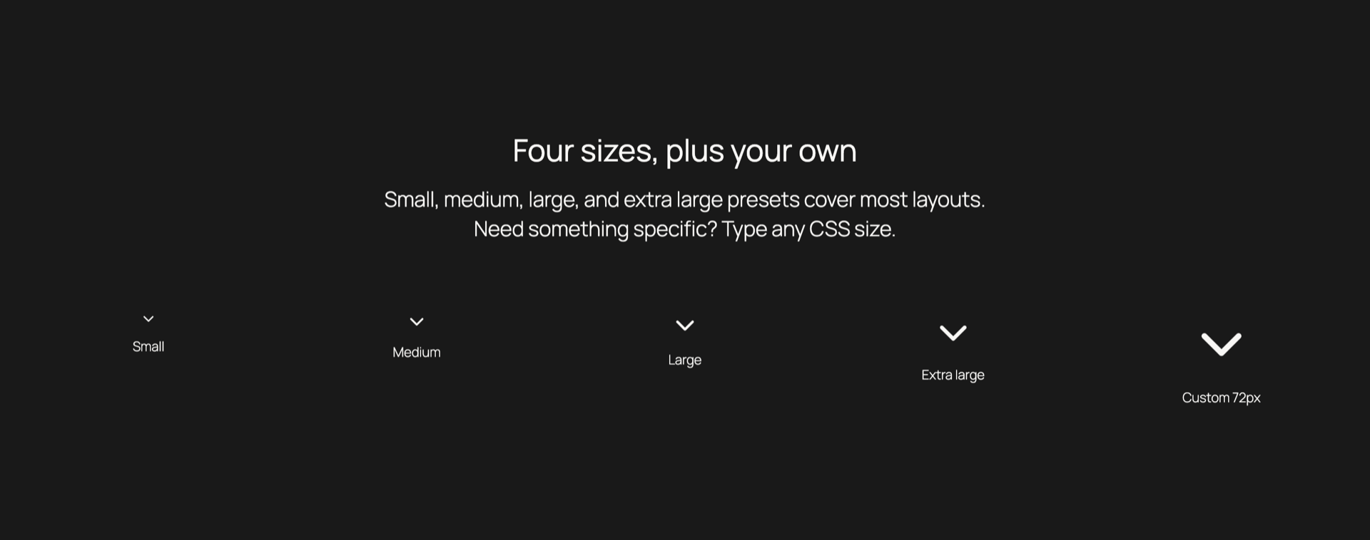 Four preset sizes plus any custom CSS size.
