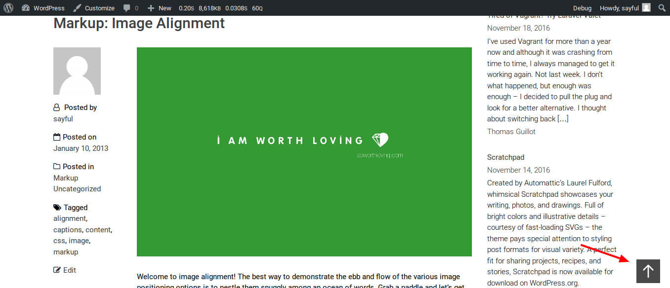 Screenshot of plugin option page.