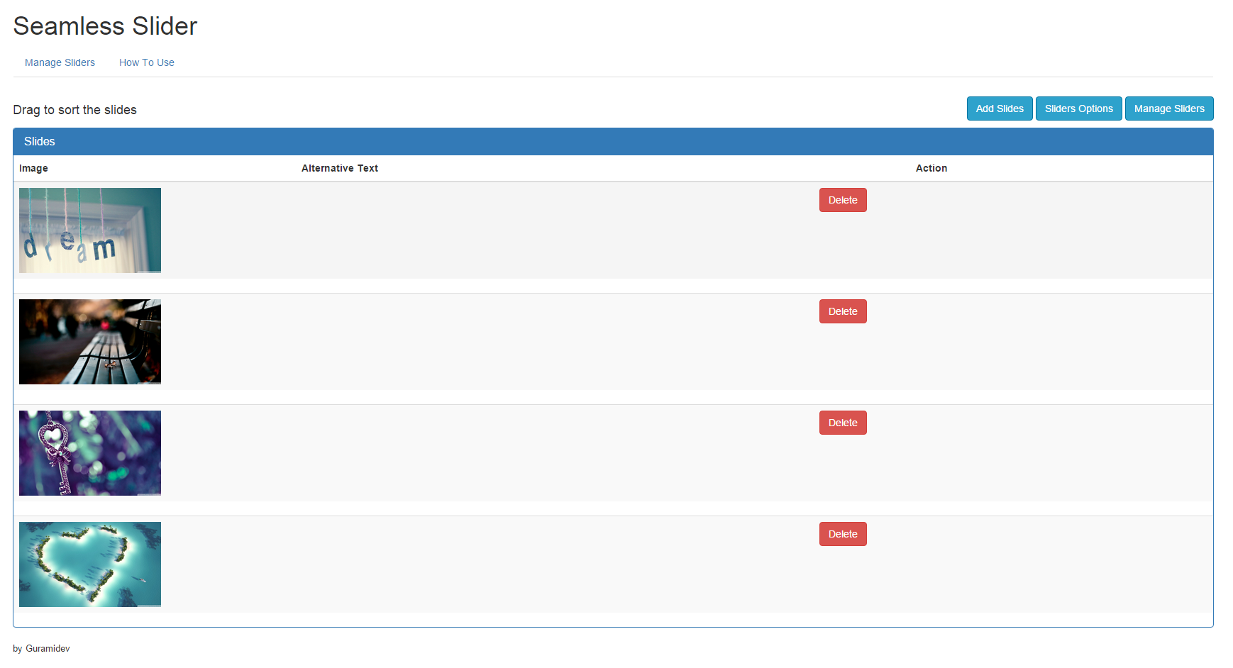 Slides management section