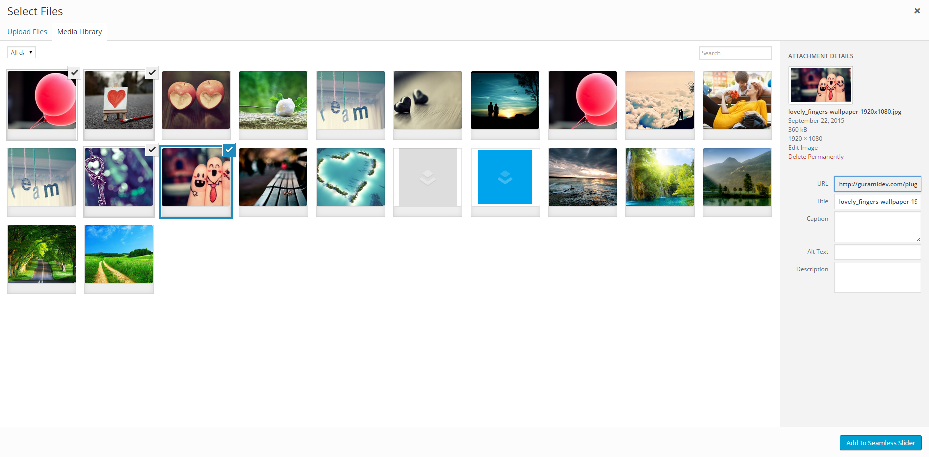 Selecting the files to be attached to the slider ( single / multiple )