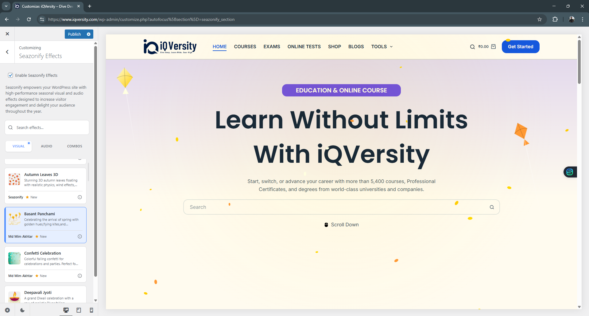 **Real-Time Preview**: Our Live Customizer integration allows you to see the "Magic" before you publish it.