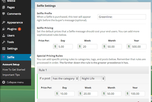 **Selfie Options Page** - You have a wide range of controls over pricing and styling.