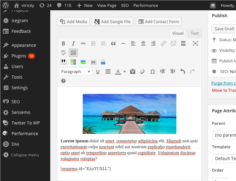 Including a Sensemo shortcode in a page