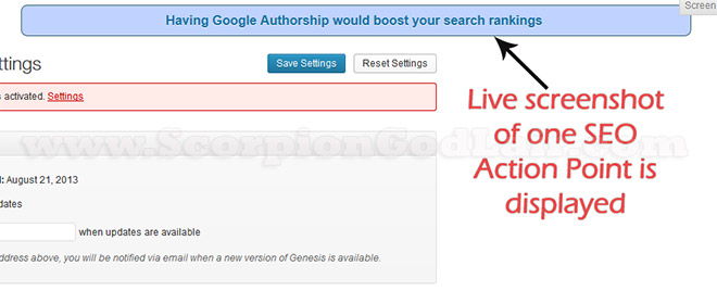 Live screenshot of how SEO Advicer looks after installation.