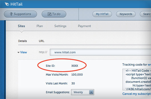Find your site ID in your HitTail account
