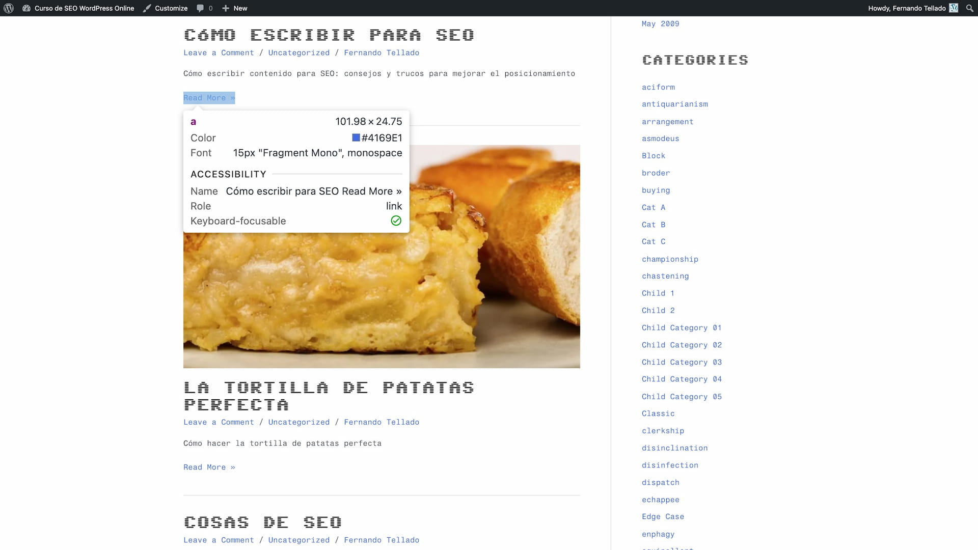 Admin settings showing theme compatibility and custom CSS examples