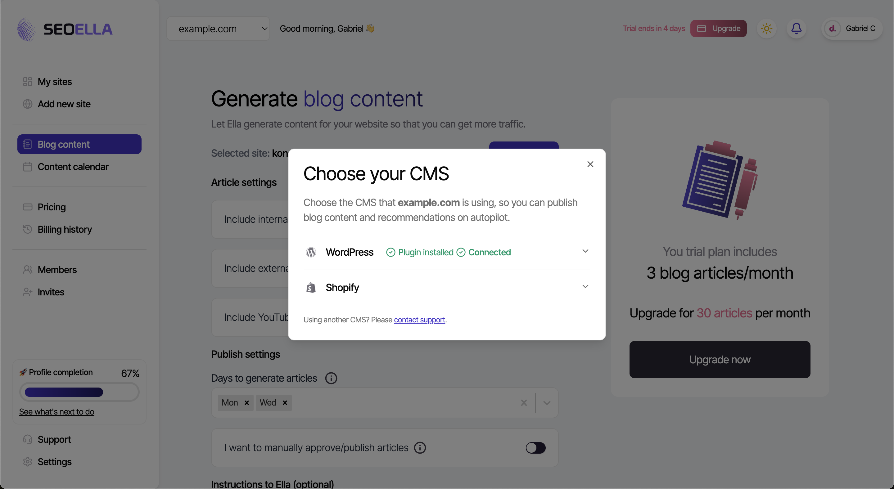 The Seoella dashboard showing the connection status for a Wordpress site.