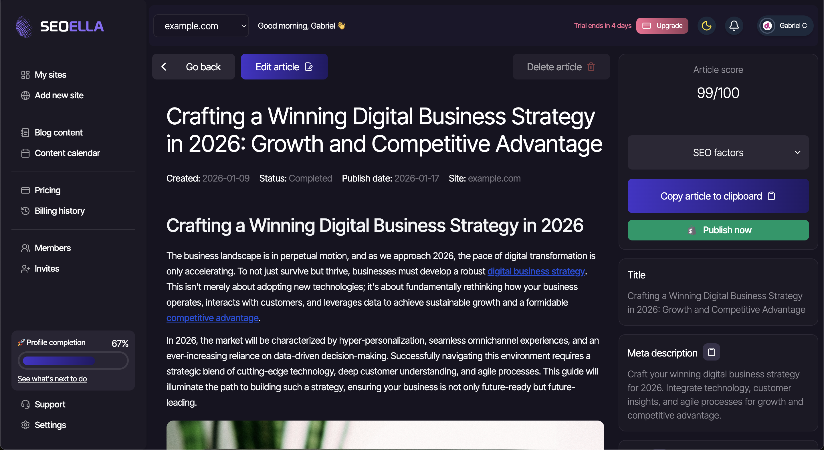 The Seoella dashboard showing a blog article and options to publish it.