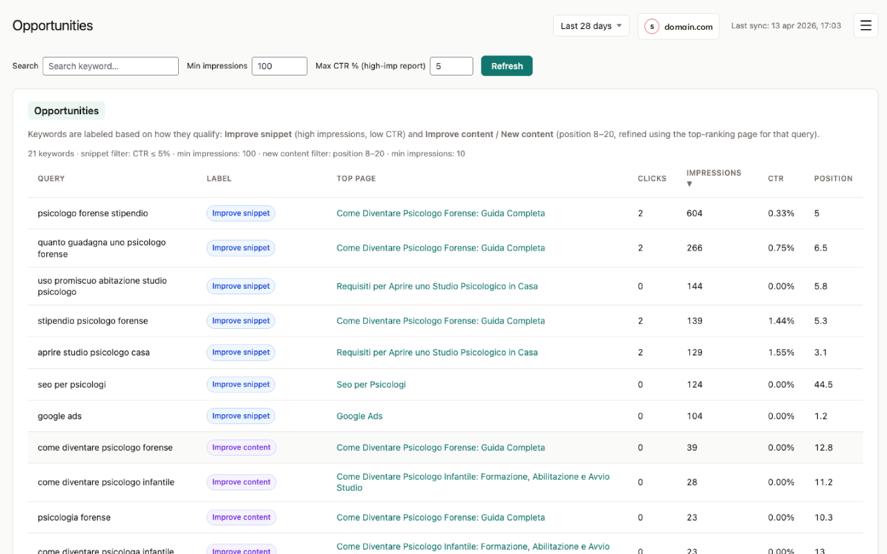 Opportunities: high-impression / low-CTR and positions 8–20 “quick win” reports.