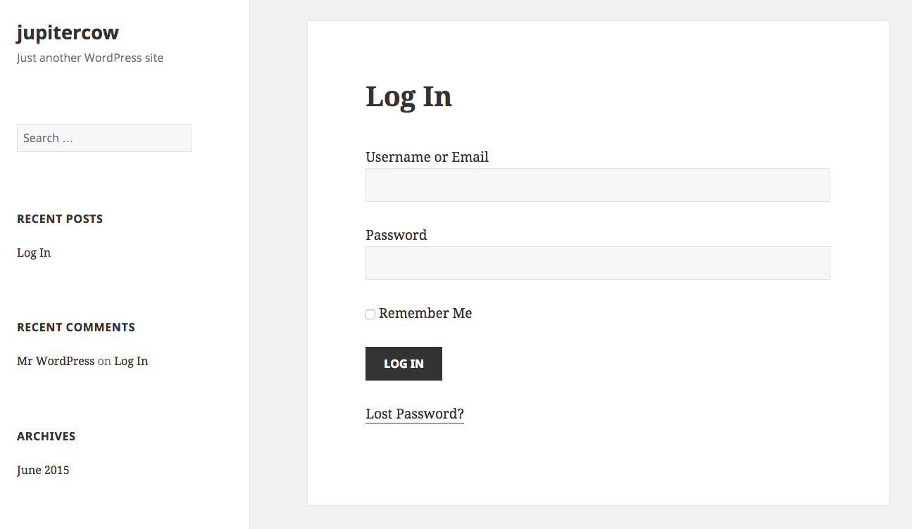 A log in form example