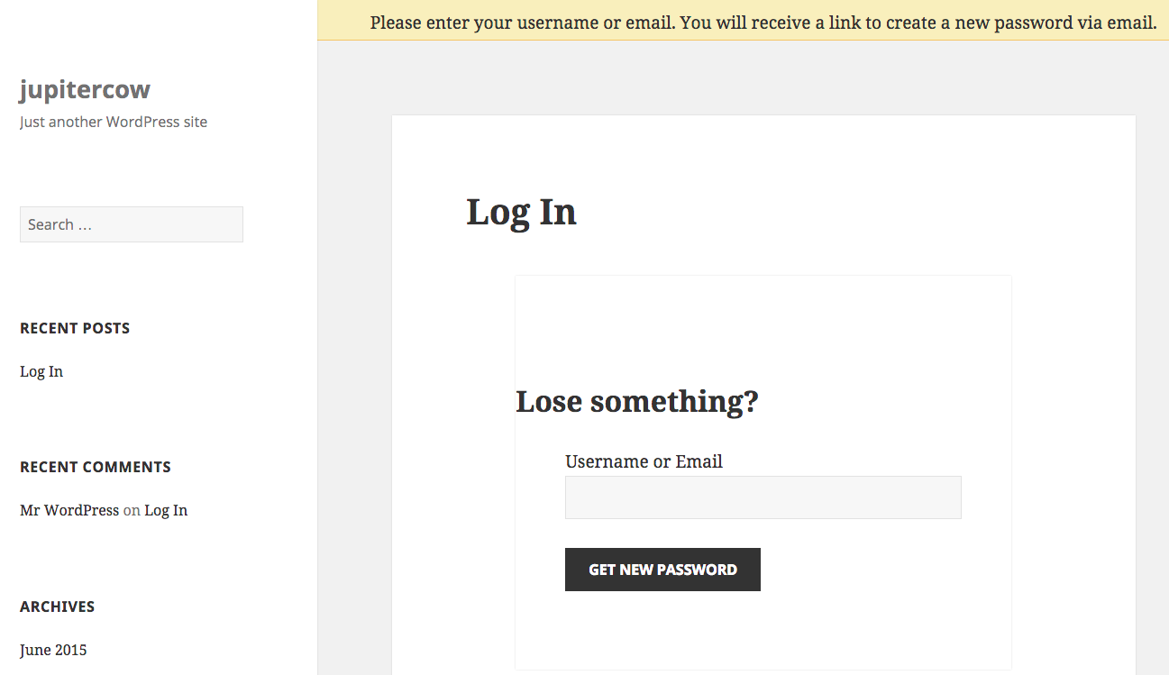 Password recovery form