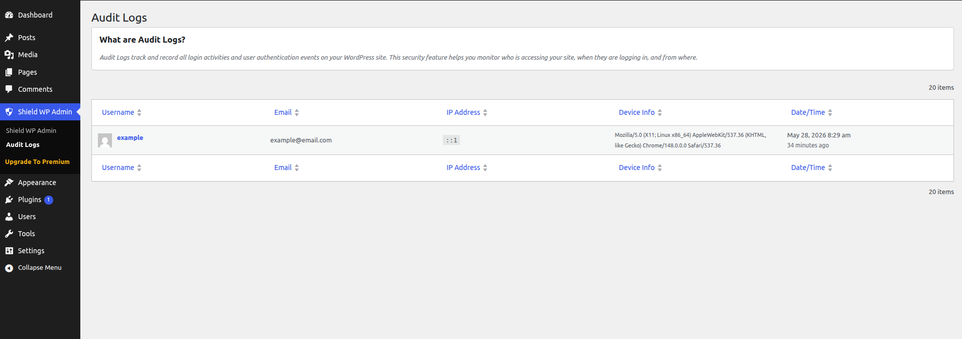 Audit Logs page showing login activity.