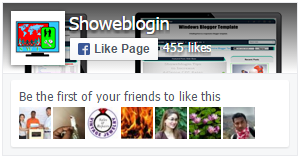 Showeblogin FB Page Like Box with Small Header