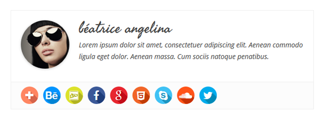 Simple Author Box - RTL view 1