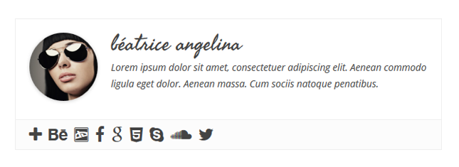 Simple Author Box - Sample 2