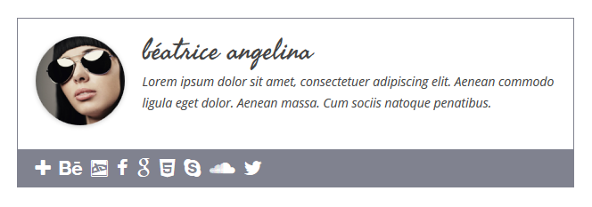Simple Author Box - Sample 1