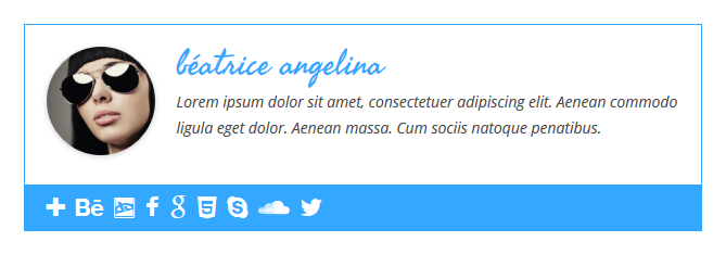Simple Author Box - Responsive view 1