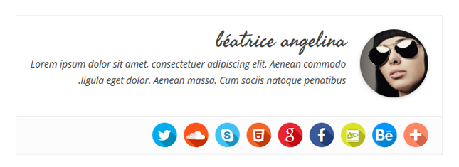 Simple Author Box - Responsive view 2