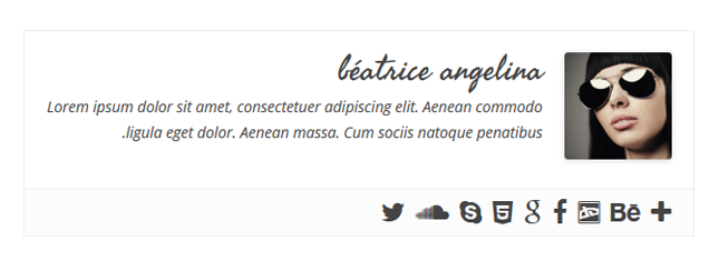 Simple Author Box - Responsive view 3
