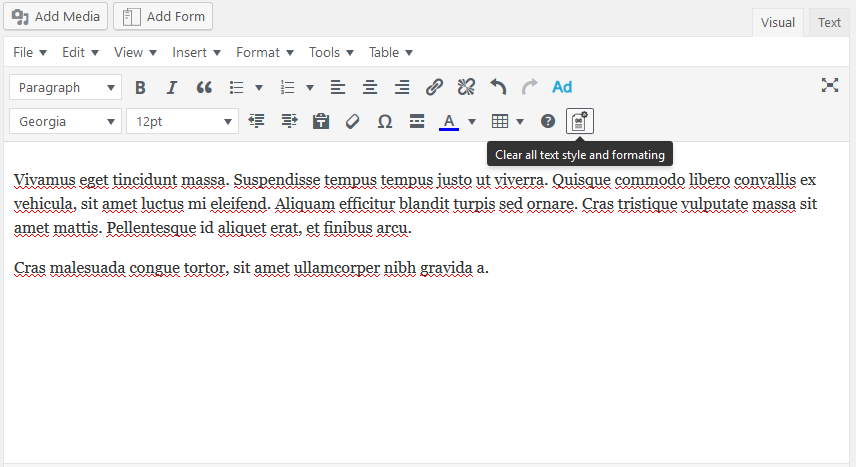 Screenshot of the same text, without the text style and formating and image in the editor.