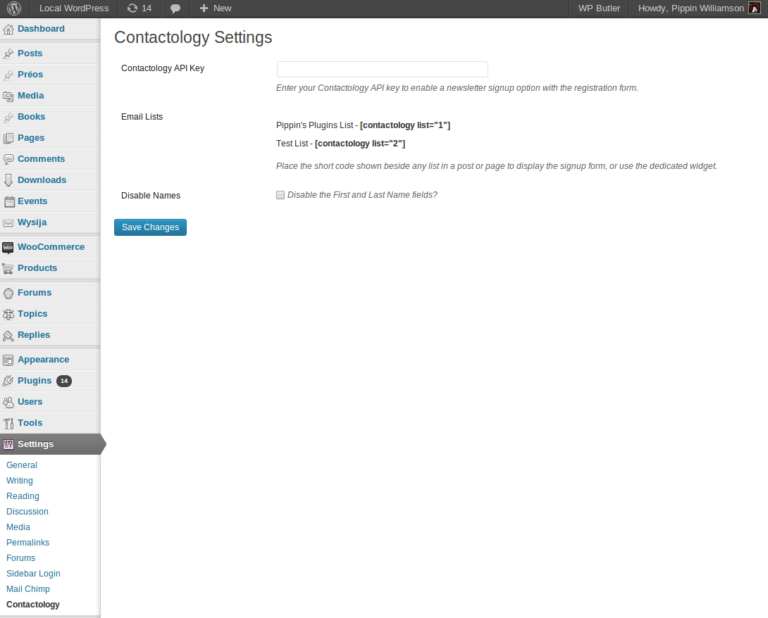 The plugin settings screen. Enter your API key and choose the newsletter list here