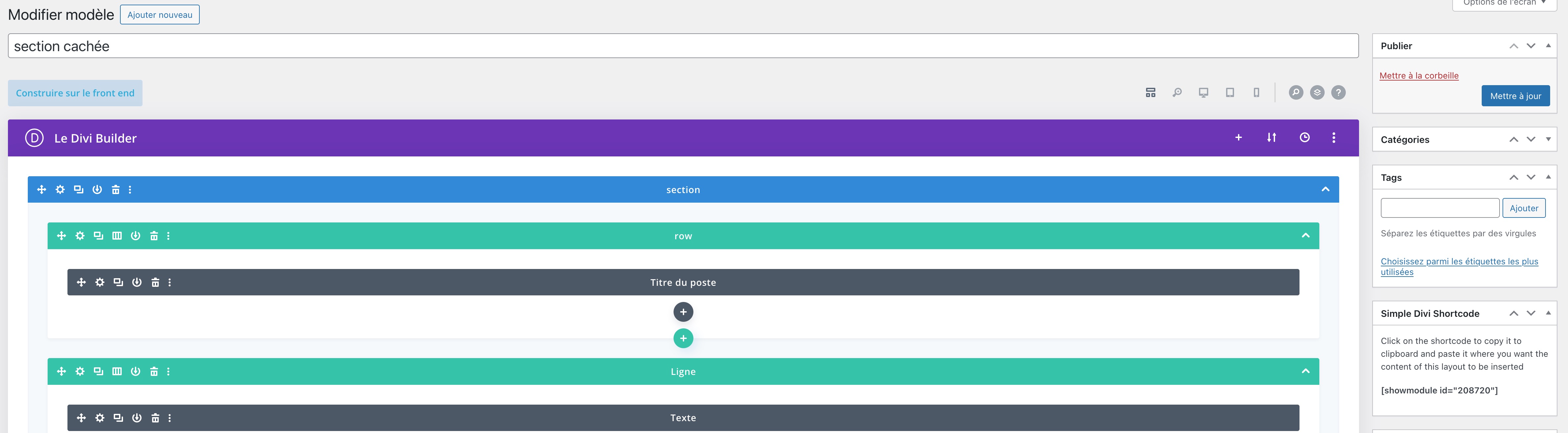 The shortcode also appears in a metabox when editing inside the DIVI Builder