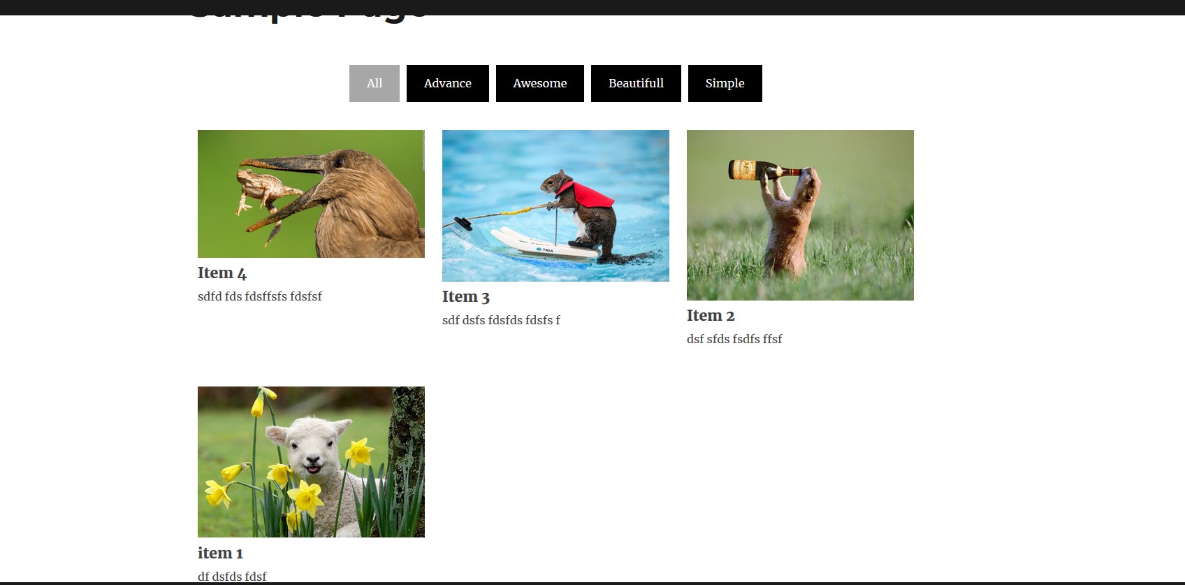Simple Gallery with filter frontend view.