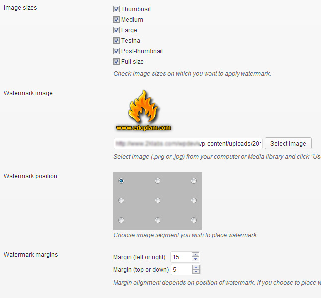Plugin options