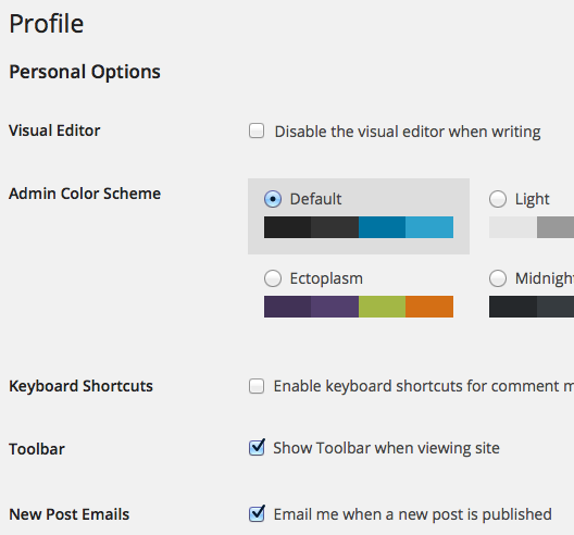 User profile option