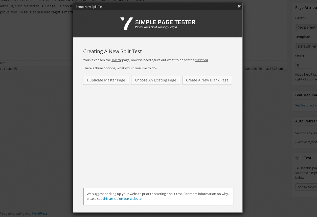 Dialog for choosing what to do with the Variation. Duplicate the page, Choose and existing page or start a new page