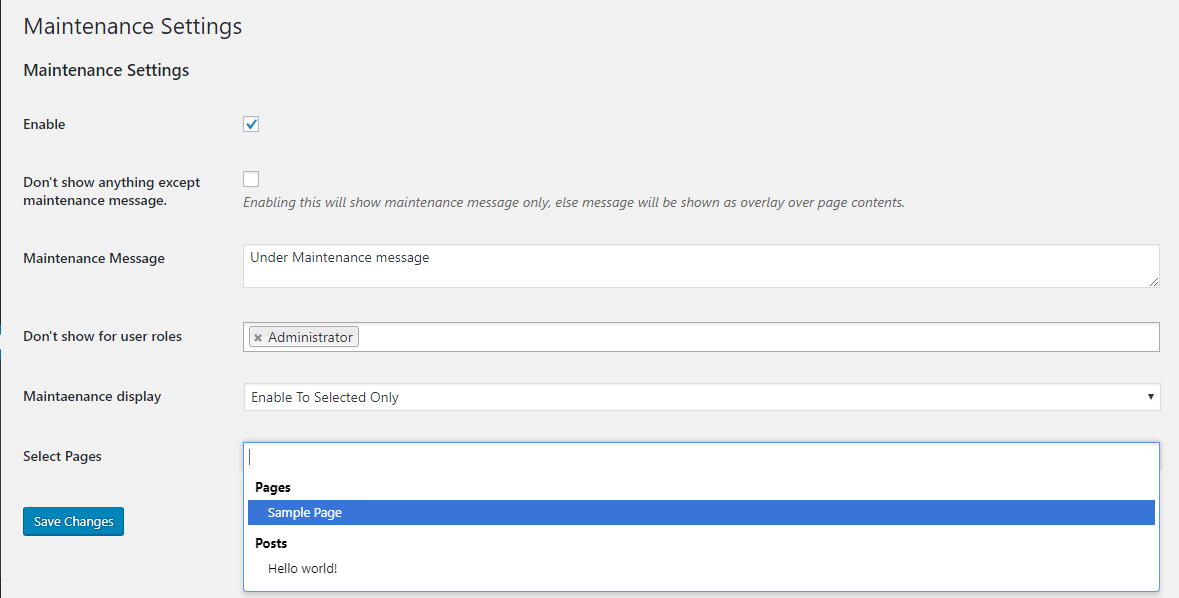 wp-admin setting page (settings -> Configure Maintenance).