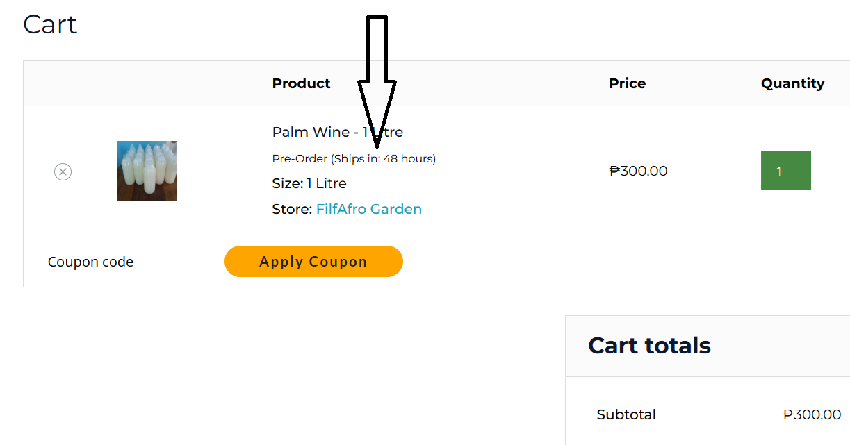Delivery information shown in the cart.