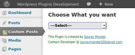 New Menu After Plugins Activation.