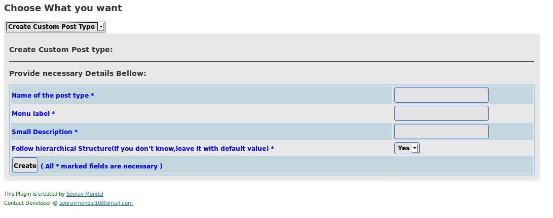 Custom Post Type Creation Interface.