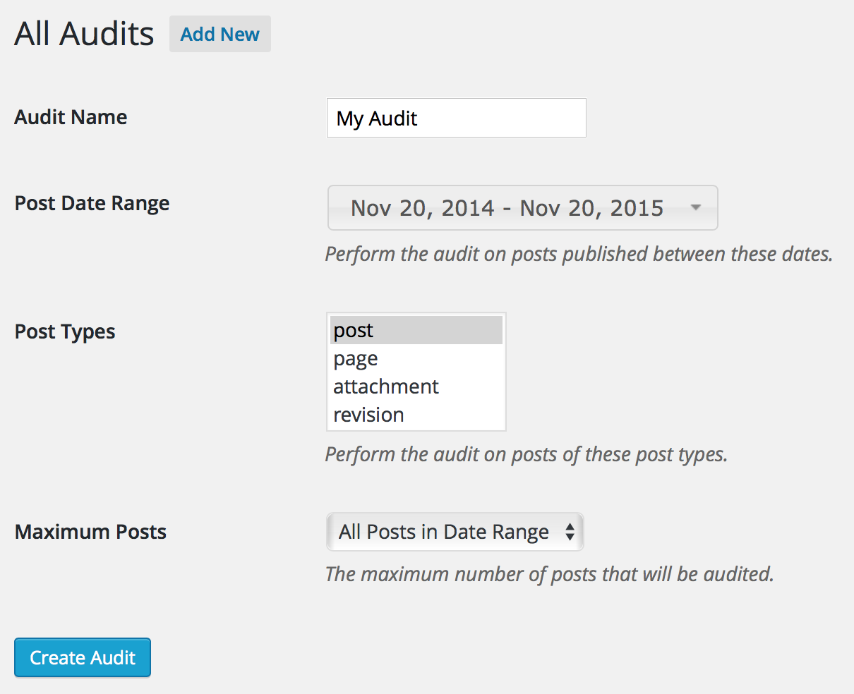 Create a New Audit