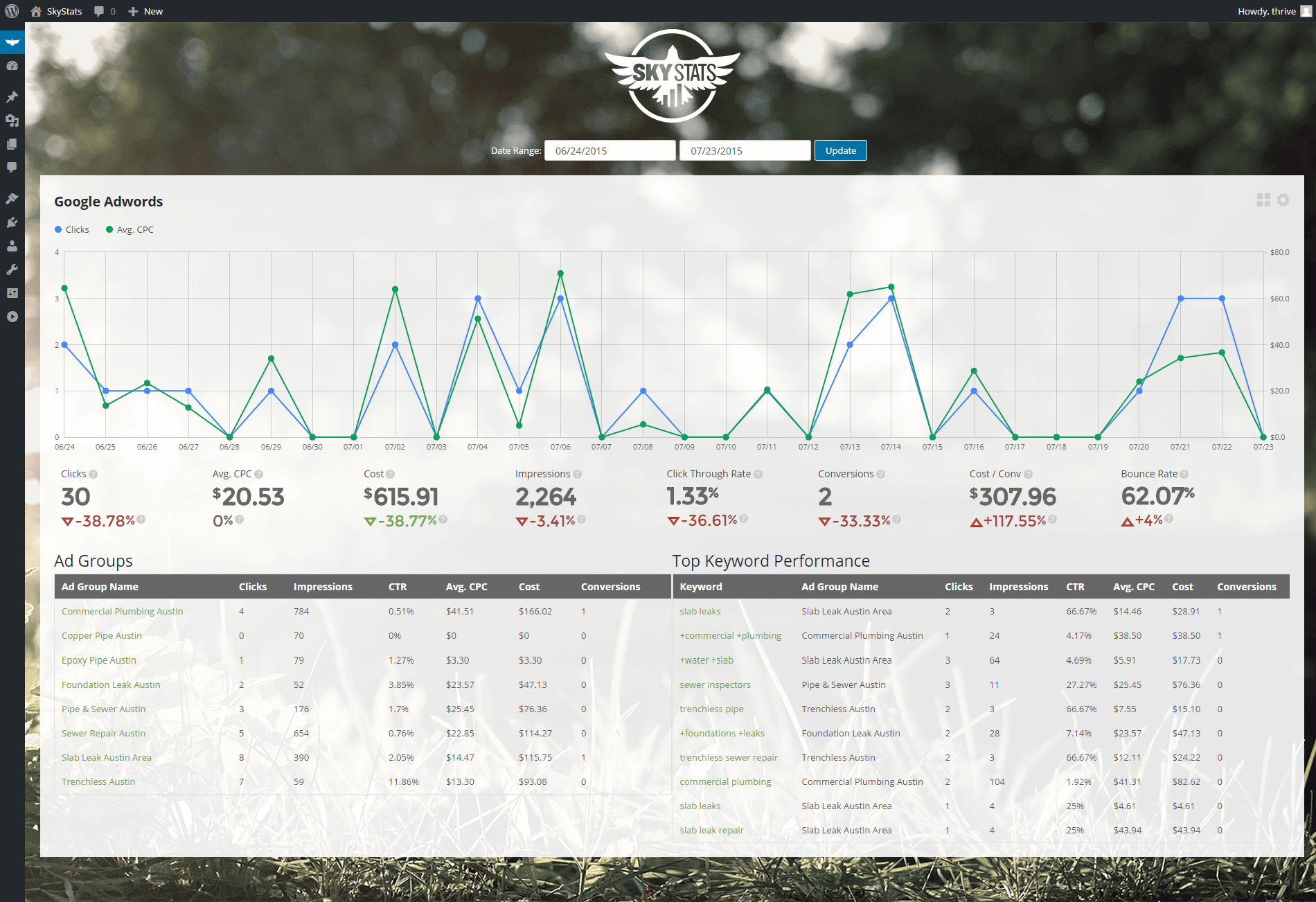 Google Adwords Campaign Level View (Premium only)