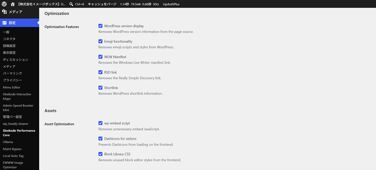 Front-end optimization settings.