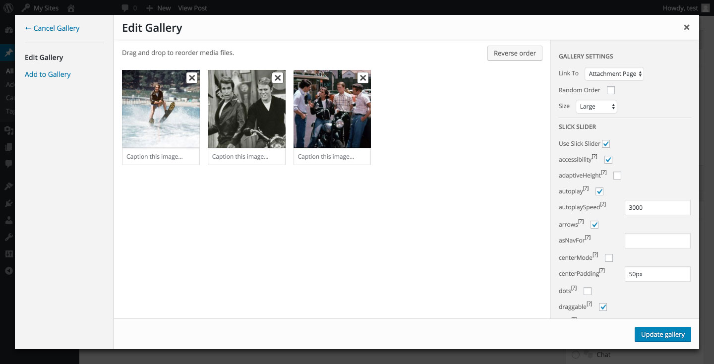 Gallery Media Modal. Only the most important options are visible.