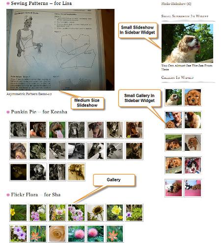 Example of more than one Flickr Gallery and more than one Flickr Slideshow in action on a single page