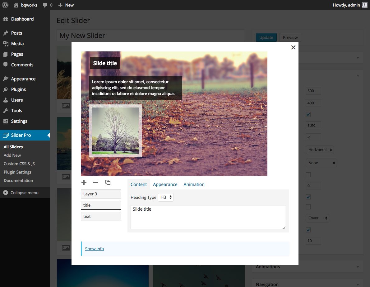 The main image editor in the admin area.