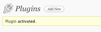 Plugin is activated.