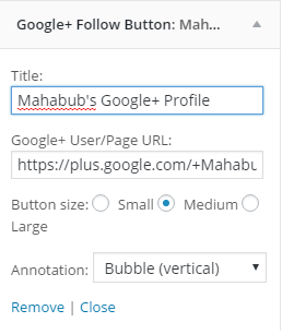 SM Google+ widget settings