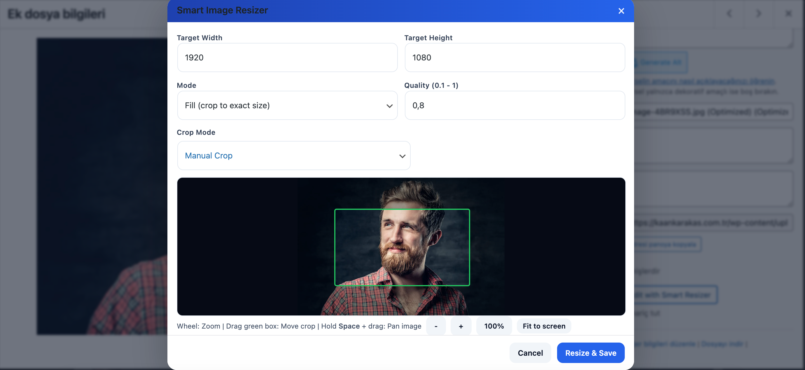 Zoom & pan controls in action