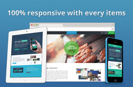 100% responsive slider