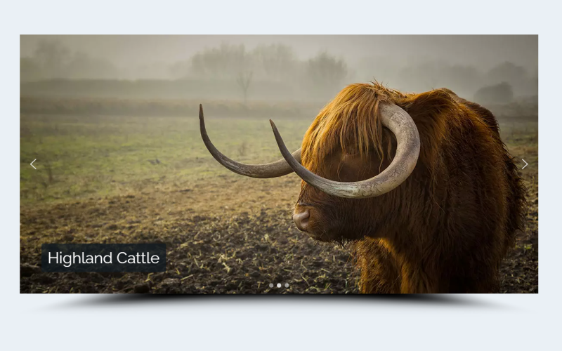 Experience the FREE version's dynamic Image Slider with a captivating static slide.
