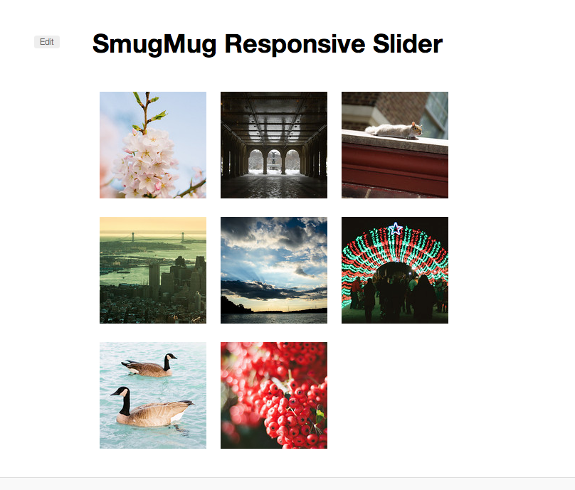 **Thumbnail Gallery** - In addition to the slider, a thumbnail gallery can be placed on a page or a post.
