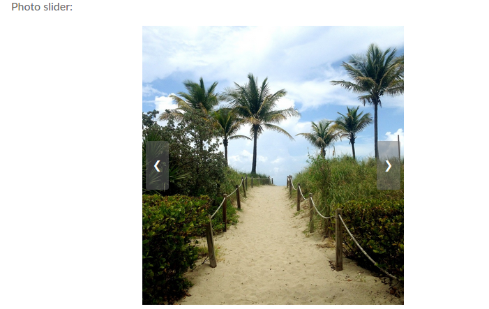 Social Photo Slider Example