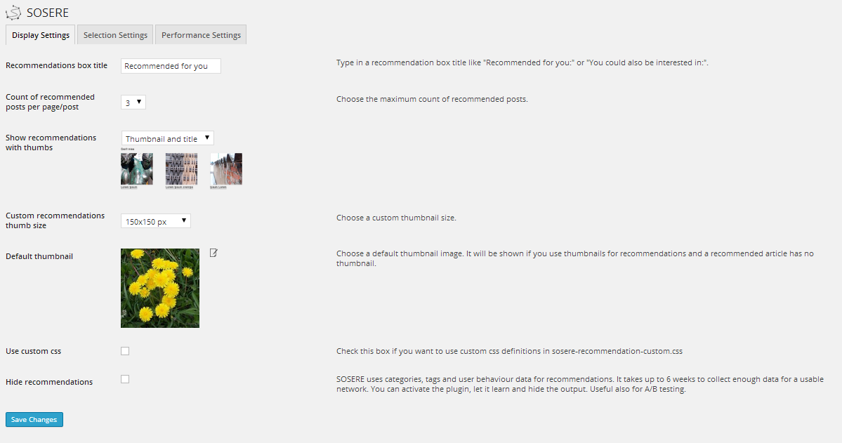 SOSERE Settings Page: Display Settings. Change the way SOSERE displays recommendations