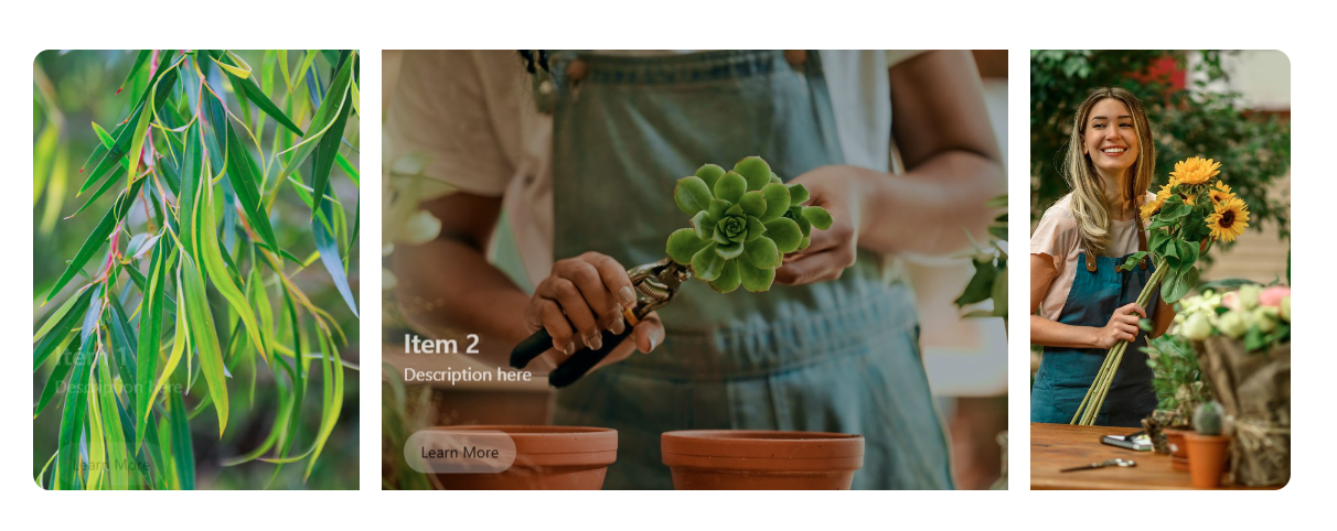 Image Accordion widget
