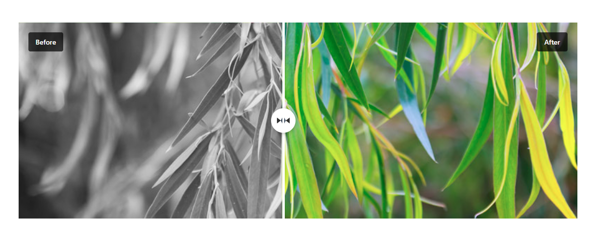 Before After Slider